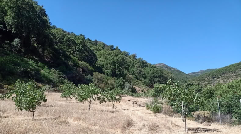 Málaga - Istán - 50000m2