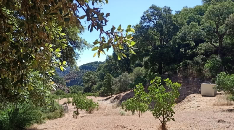 Málaga - Istán - 50000m2