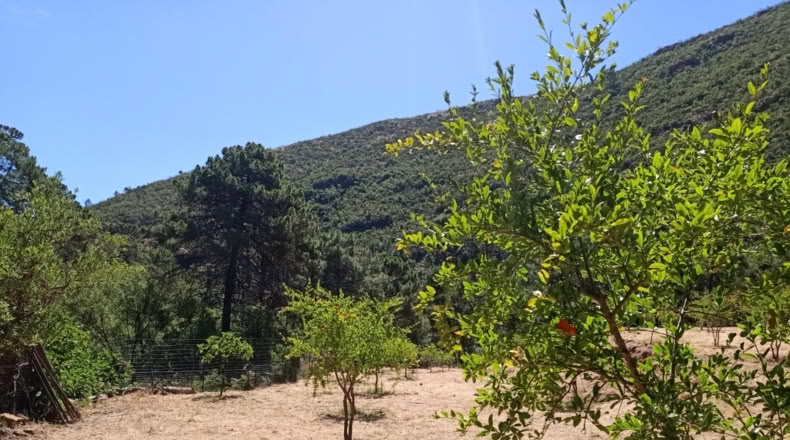 Málaga - Istán - 50000m2