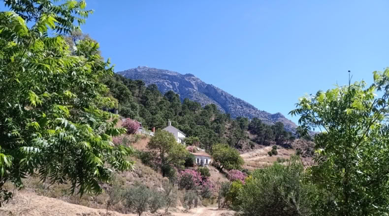 Málaga - Istán - 50000m2