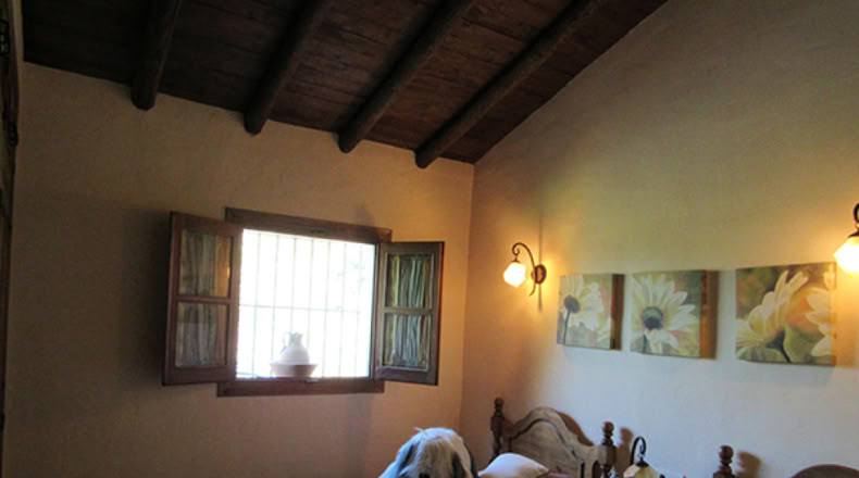 Málaga - Genalguacil - 20000m2