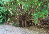 Masia with land for sale in Genalguacil ref: TR200866 photo