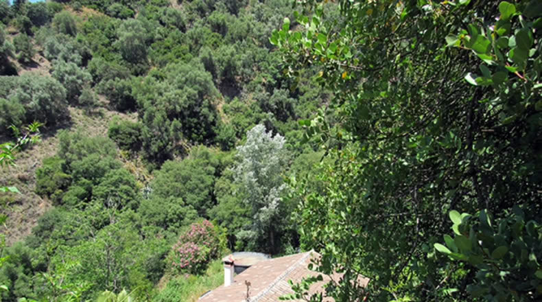 Málaga - Genalguacil - 20000m2