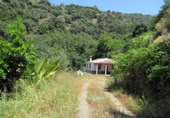 Masia with land for sale in Genalguacil ref: TR200866 photo