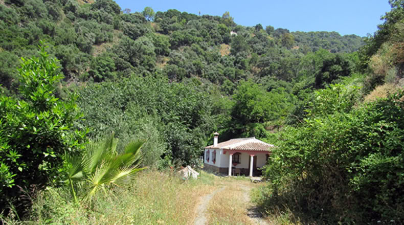 Málaga - Genalguacil - 20000m2