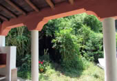 Masia with land for sale in Genalguacil ref: TR200866 photo