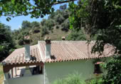 Masia with land for sale in Genalguacil ref: TR200866 photo
