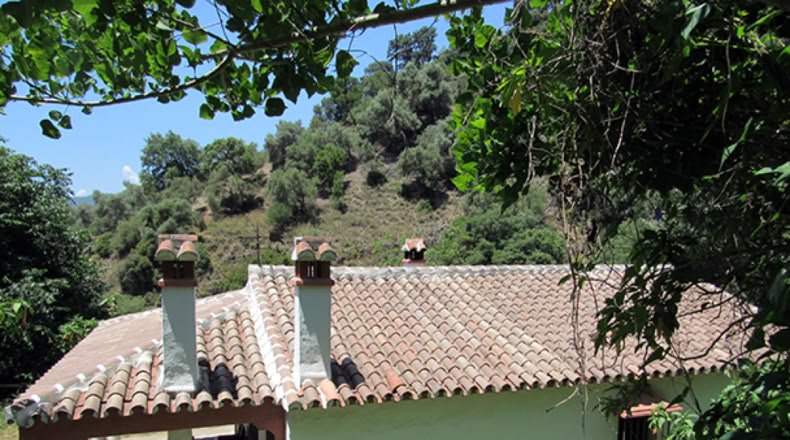 Málaga - Genalguacil - 20000m2