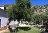 Masia with land for sale in Zahara ref: TR200865 photo