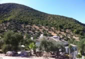 Masia with land for sale in Zahara ref: TR200865 photo