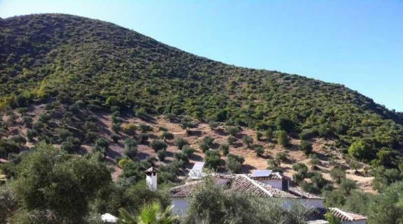 Cadiz - Zahara - 70000m2
