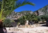 Masia with land for sale in Zahara ref: TR200865 photo