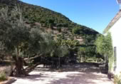 Masia with land for sale in Zahara ref: TR200865 photo