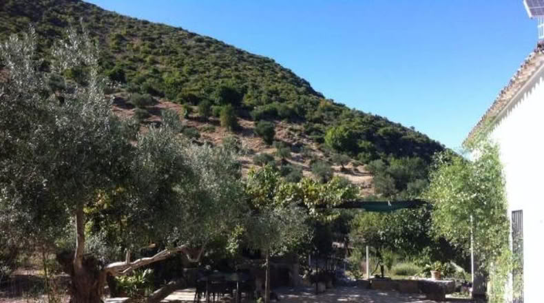 Cadiz - Zahara - 70000m2