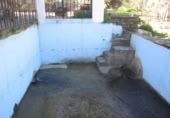 Masia with land for sale in Zahara ref: TR200865 photo