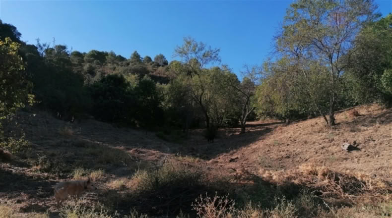 Málaga - Júzcar - 27000m2