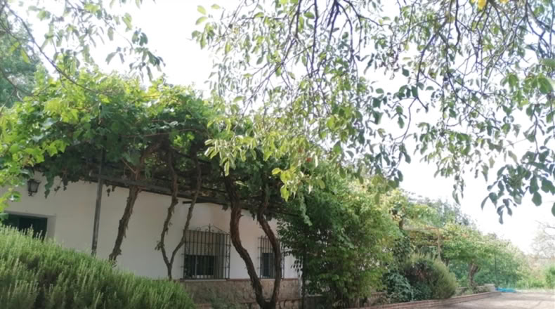 Málaga - Ronda - 20000m2