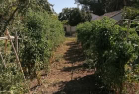 Foto 11
