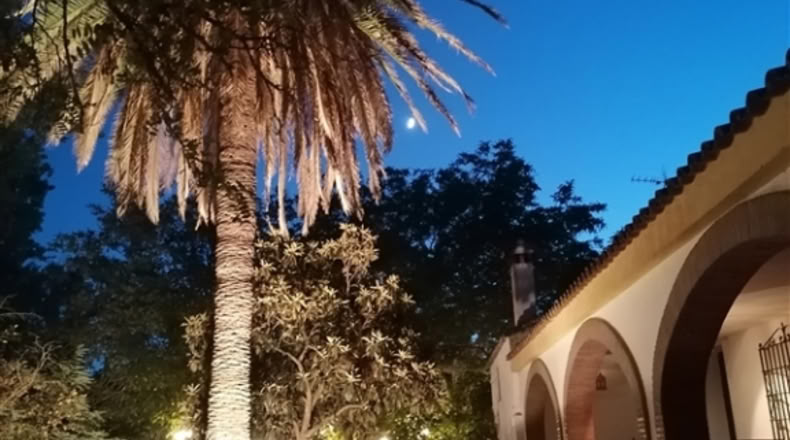 Málaga - Ronda - 20000m2