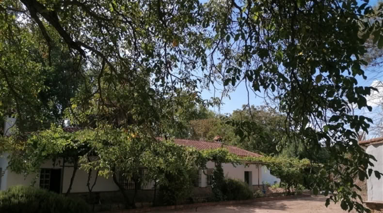 Málaga - Ronda - 20000m2