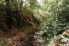 Foto 19