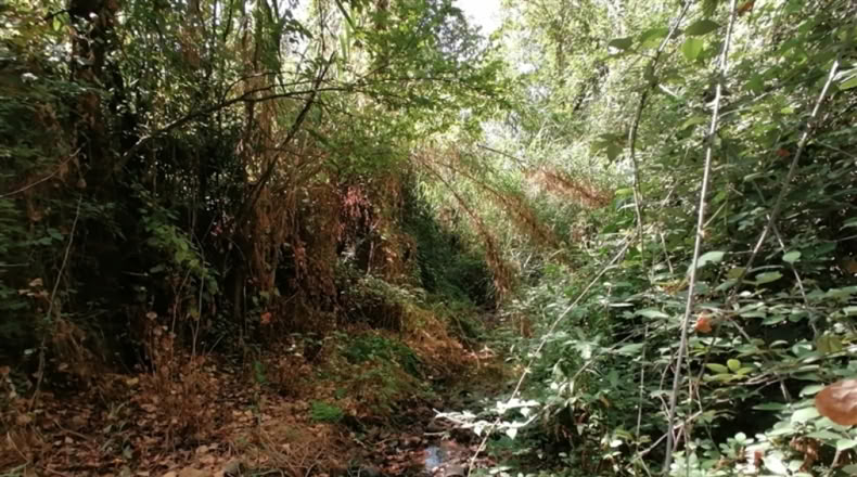 Málaga - Ronda - 20000m2