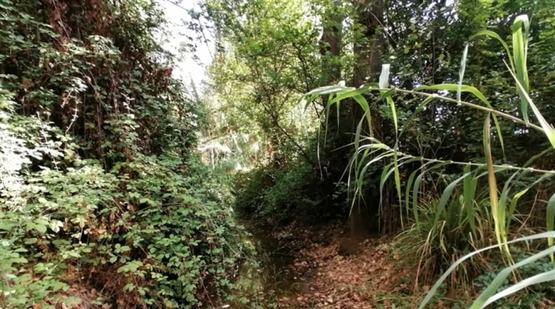 Málaga - Ronda - 20000m2