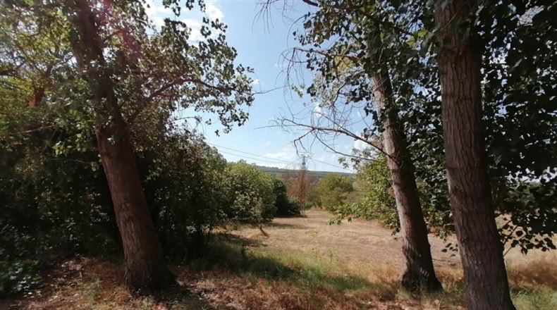 Málaga - Ronda - 20000m2