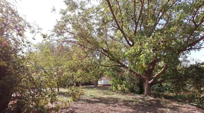 Málaga - Ronda - 20000m2