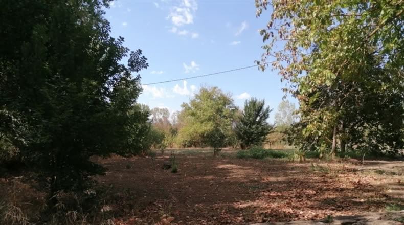 Málaga - Ronda - 20000m2