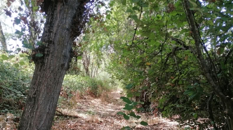 Málaga - Ronda - 20000m2