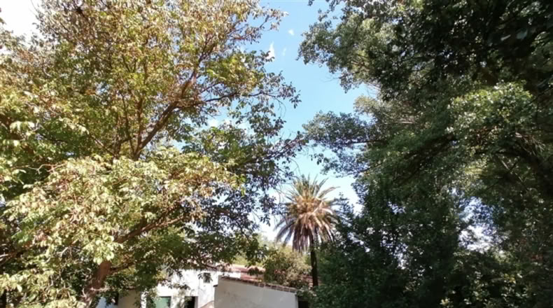 Málaga - Ronda - 20000m2
