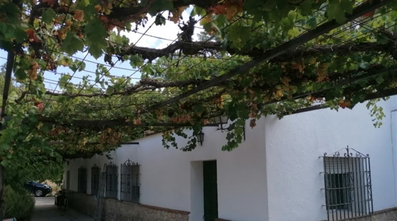 Málaga - Ronda - 20000m2