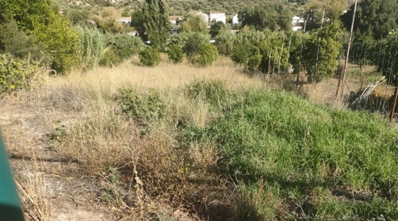 Málaga - Jimera de Líbar - 3000m2