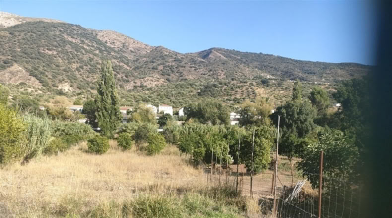 Málaga - Jimera de Líbar - 3000m2