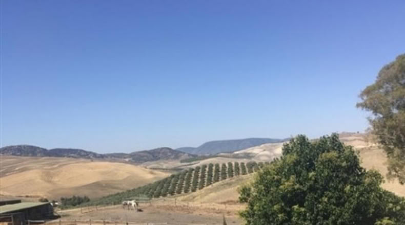 Cadiz - Setenil de las Bodegas - 54000m2
