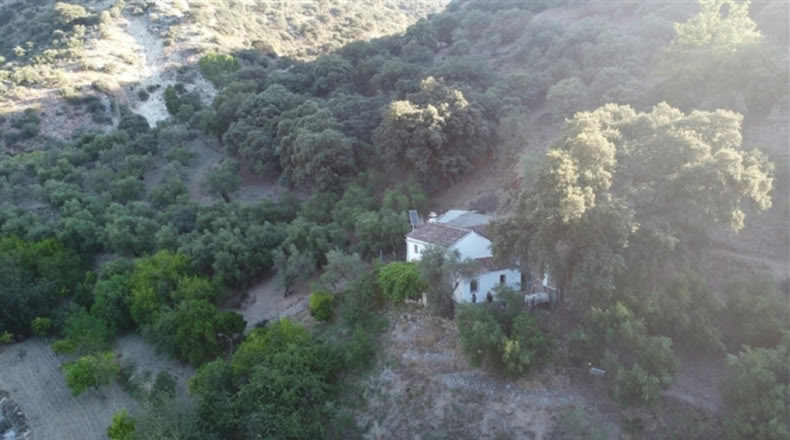 Málaga - Alpandeire - 90000m2