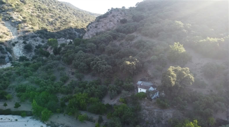 Málaga - Alpandeire - 90000m2