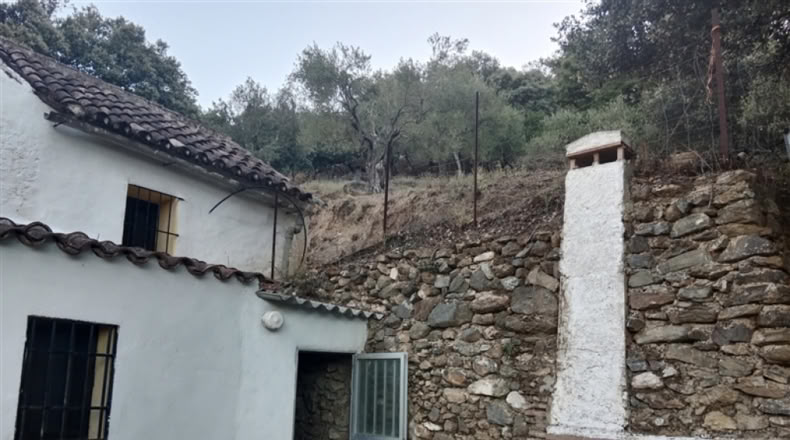 Málaga - Alpandeire - 90000m2