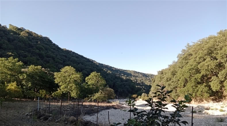 Málaga - Alpandeire - 90000m2