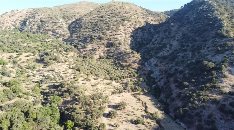 Málaga - Alpandeire - 90000m2