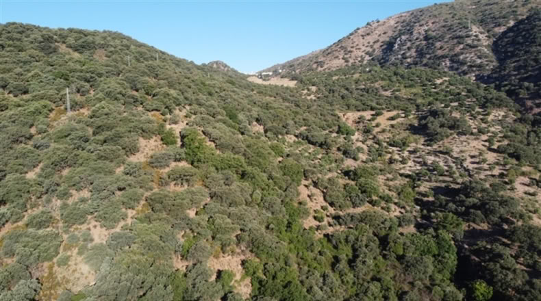 Málaga - Alpandeire - 90000m2