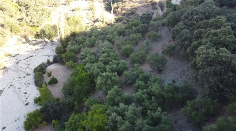 Málaga - Alpandeire - 90000m2