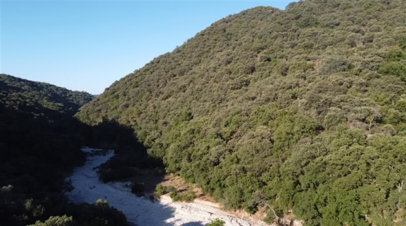 Málaga - Alpandeire - 90000m2