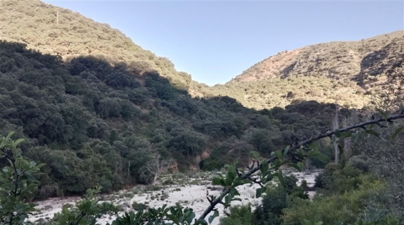 Málaga - Alpandeire - 90000m2