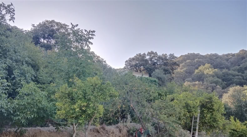 Málaga - Alpandeire - 90000m2