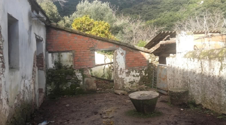 Málaga - Benarrabá - 20000m2