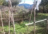 Masía con terreno en venta en Benarrabá ref: TR200875 foto