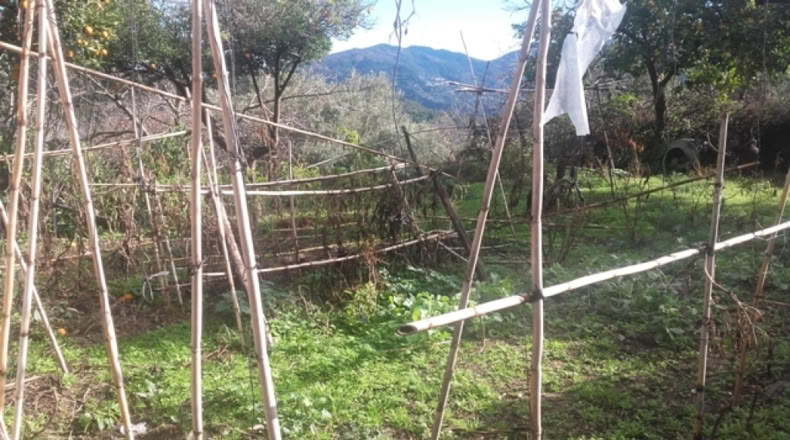 Málaga - Benarrabá - 20000m2