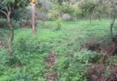 Masía con terreno en venta en Benarrabá ref: TR200875 foto